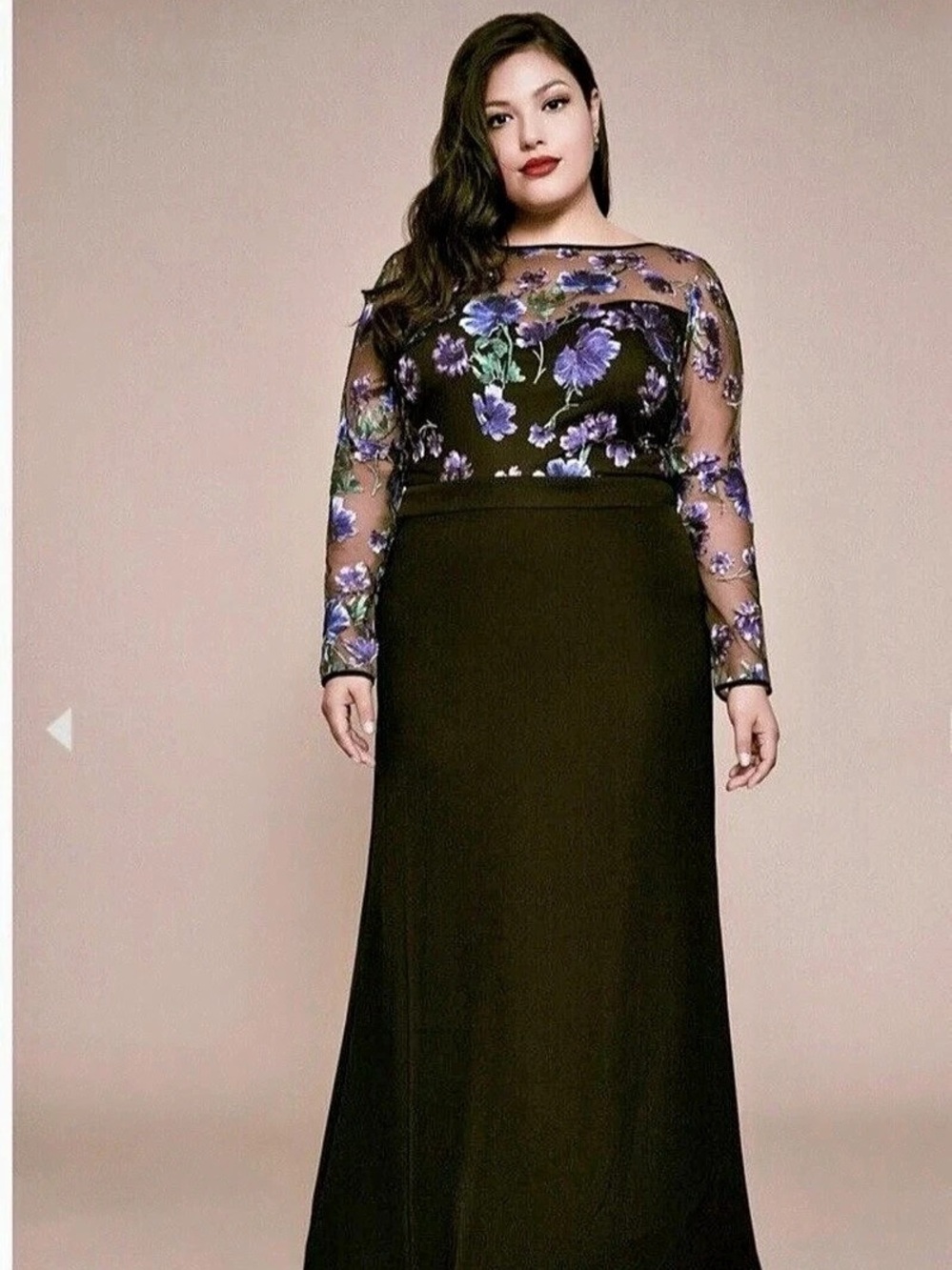Tadashi Shoji Caselle Embroidered Illusion Bodice Gown Caselle Floral Maxi Gown